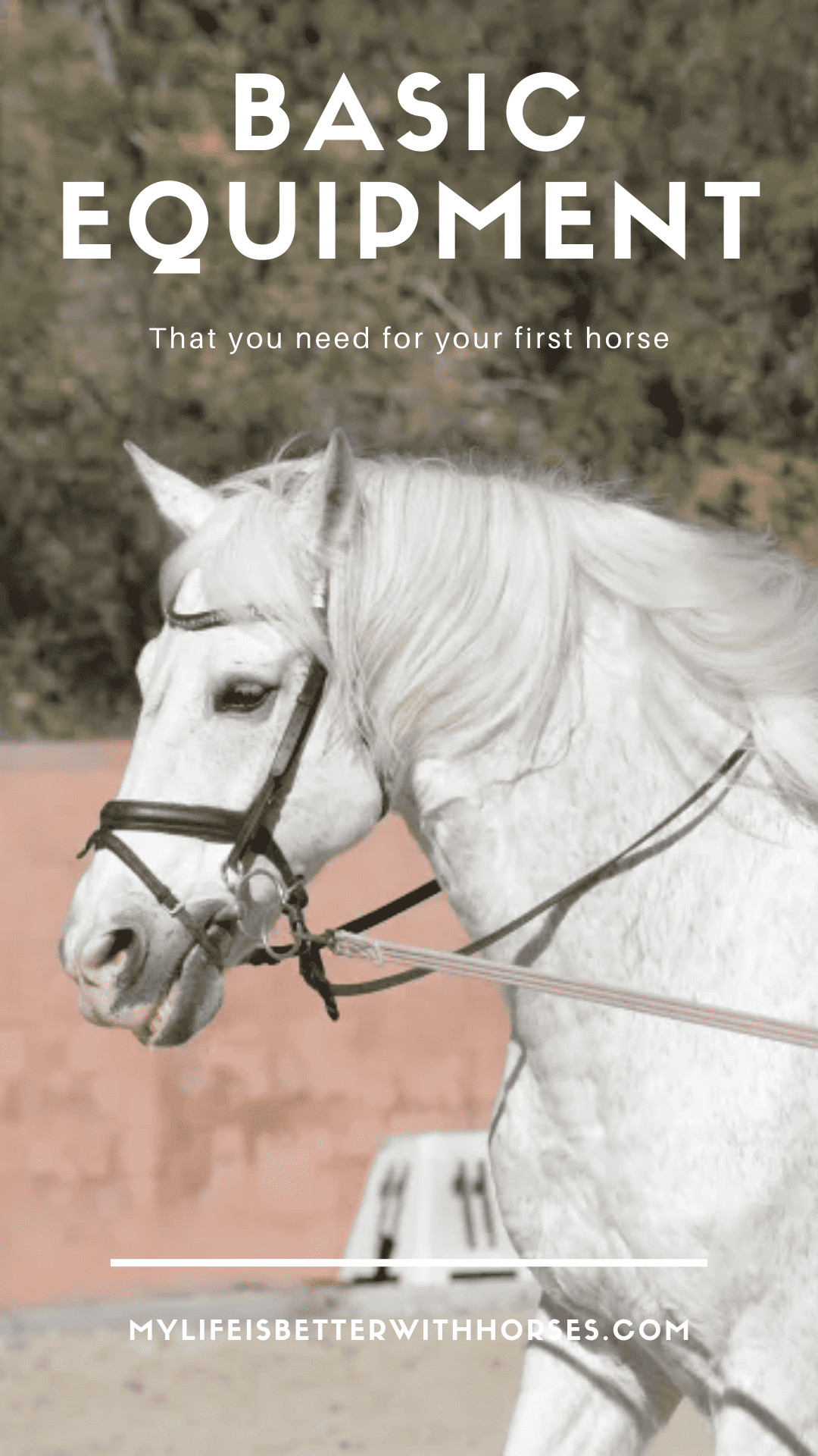 What Basic Equipment Do You Need For Your First Horse? - My Life Is ...